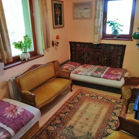Vizaknai Apartmanhaz İstolni Belgrad Dış mekan fotoğraf