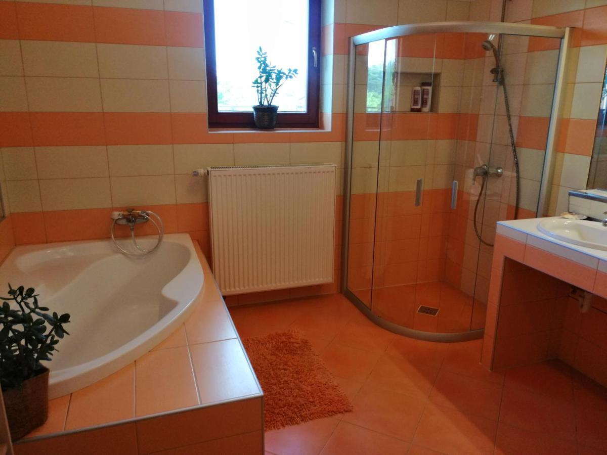 Vizaknai Apartmanhaz İstolni Belgrad Dış mekan fotoğraf