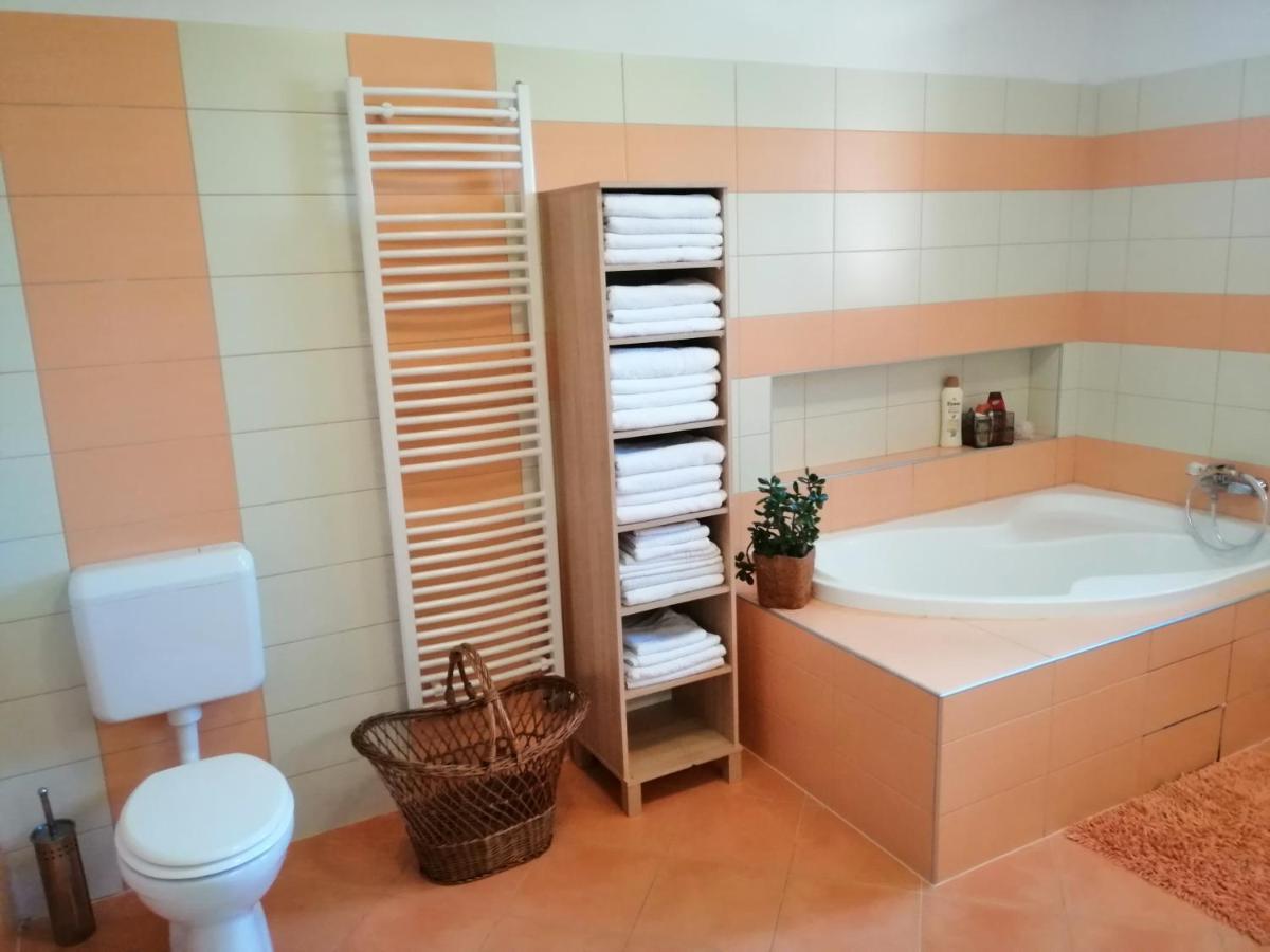 Vizaknai Apartmanhaz İstolni Belgrad Dış mekan fotoğraf