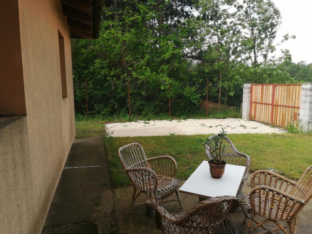 Vizaknai Apartmanhaz İstolni Belgrad Dış mekan fotoğraf